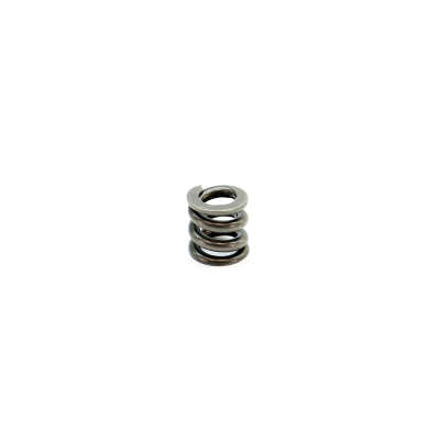 Micro Reg Gen 1 &amp; 2 High Pressure Spring                    